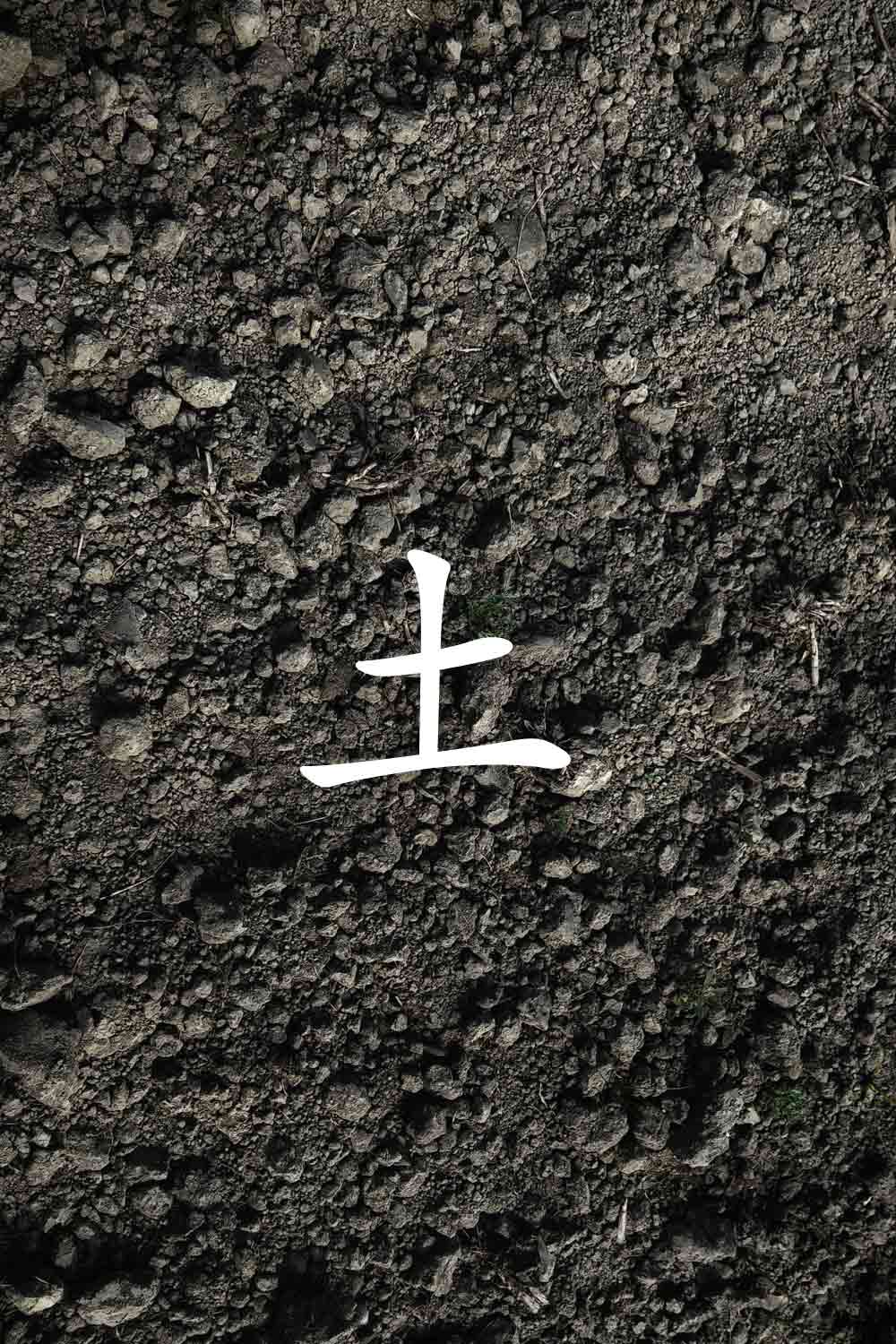 Spiralis Mirabilis Magazine - Arti marziali e cultura tradizionale cinese