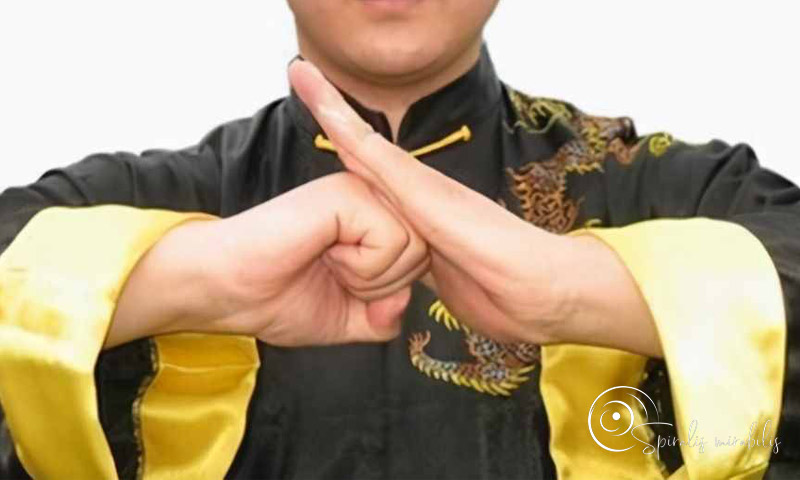 Spiralis Mirabilis - Rivista dedicata alle arti marziali cinesi e alla cultura tradizionale cinese con focus su Tai Chi QiGong e DaoYin