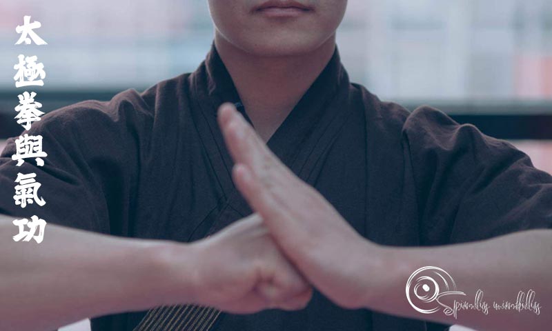 Spiralis Mirabilis - Rivista dedicata alle arti marziali cinesi e alla cultura tradizionale cinese con focus su Tai Chi QiGong e DaoYin