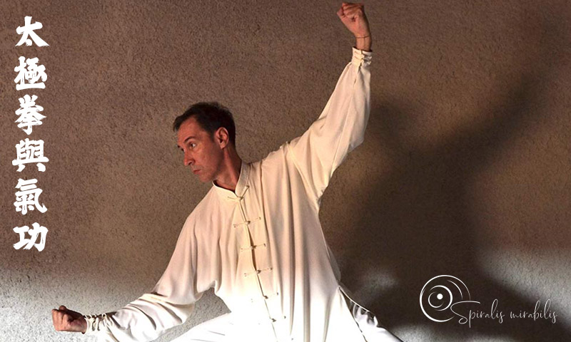Spiralis Mirabilis - Rivista dedicata alle arti marziali cinesi e alla cultura tradizionale cinese con focus su Tai Chi QiGong e DaoYin