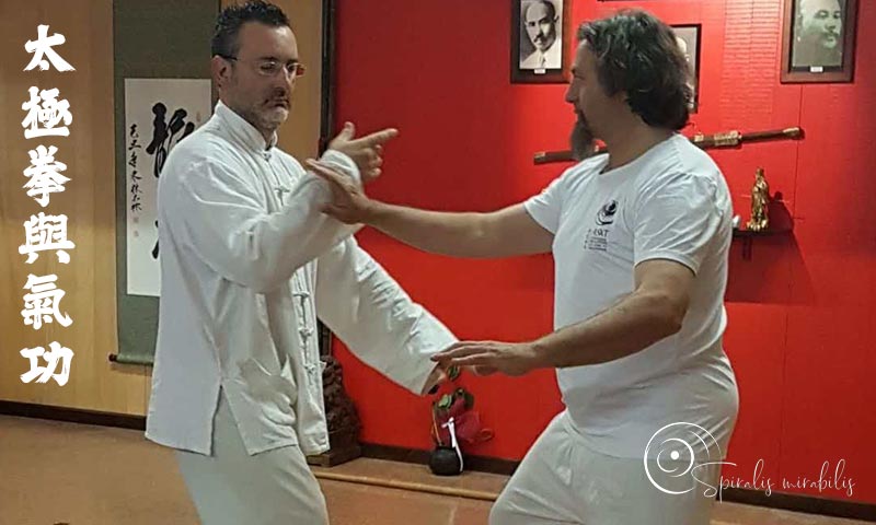Spiralis Mirabilis - Rivista dedicata alle arti marziali cinesi e alla cultura tradizionale cinese con focus su Tai Chi QiGong e DaoYin