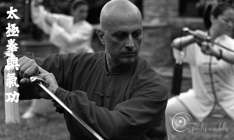 Spiralis Mirabilis - Rivista dedicata alle arti marziali cinesi e alla cultura tradizionale cinese con focus su Tai Chi QiGong e DaoYin
