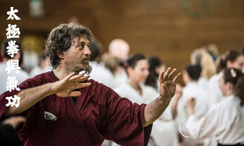 Spiralis Mirabilis - Rivista dedicata alle arti marziali cinesi e alla cultura tradizionale cinese con focus su Tai Chi QiGong e DaoYin