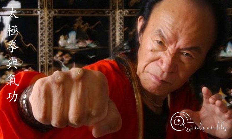 Spiralis Mirabilis - Rivista dedicata alle arti marziali cinesi e alla cultura tradizionale cinese con focus su Tai Chi QiGong e DaoYin