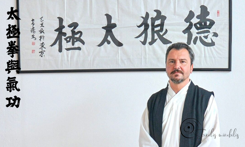 Spiralis Mirabilis - Rivista dedicata alle arti marziali cinesi e alla cultura tradizionale cinese con focus su Tai Chi QiGong e DaoYin