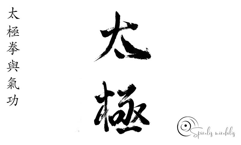 Spiralis Mirabilis - Rivista dedicata alle arti marziali cinesi e alla cultura tradizionale cinese con focus su Tai Chi QiGong e DaoYin