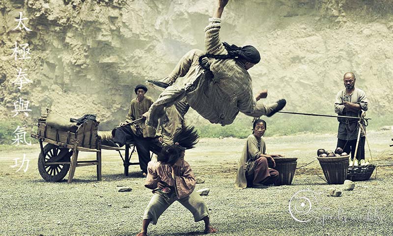 Spiralis Mirabilis - Rivista dedicata alle arti marziali cinesi e alla cultura tradizionale cinese con focus su Tai Chi QiGong e DaoYin