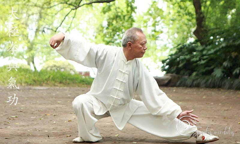 Spiralis Mirabilis - Rivista dedicata alle arti marziali cinesi e alla cultura tradizionale cinese con focus su Tai Chi QiGong e DaoYin