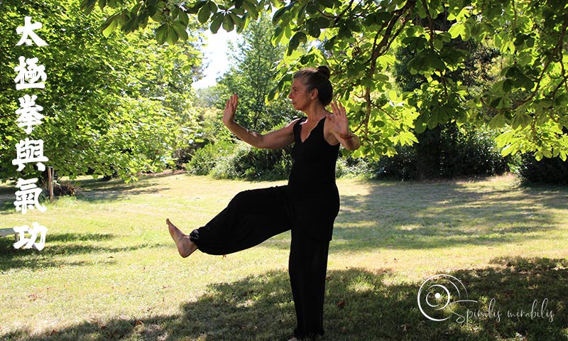 Spiralis Mirabilis - Rivista dedicata alle arti marziali cinesi e alla cultura tradizionale cinese con focus su Tai Chi QiGong e DaoYin