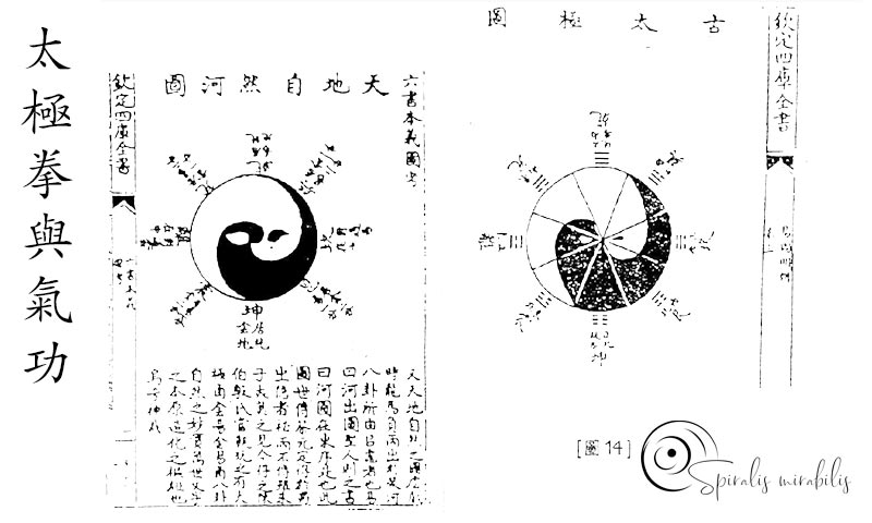 Spiralis Mirabilis - Rivista dedicata alle arti marziali cinesi e alla cultura tradizionale cinese con focus su Tai Chi QiGong e DaoYin