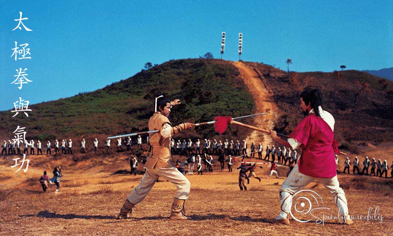 Spiralis Mirabilis - Rivista dedicata alle arti marziali cinesi e alla cultura tradizionale cinese con focus su Tai Chi QiGong e DaoYin