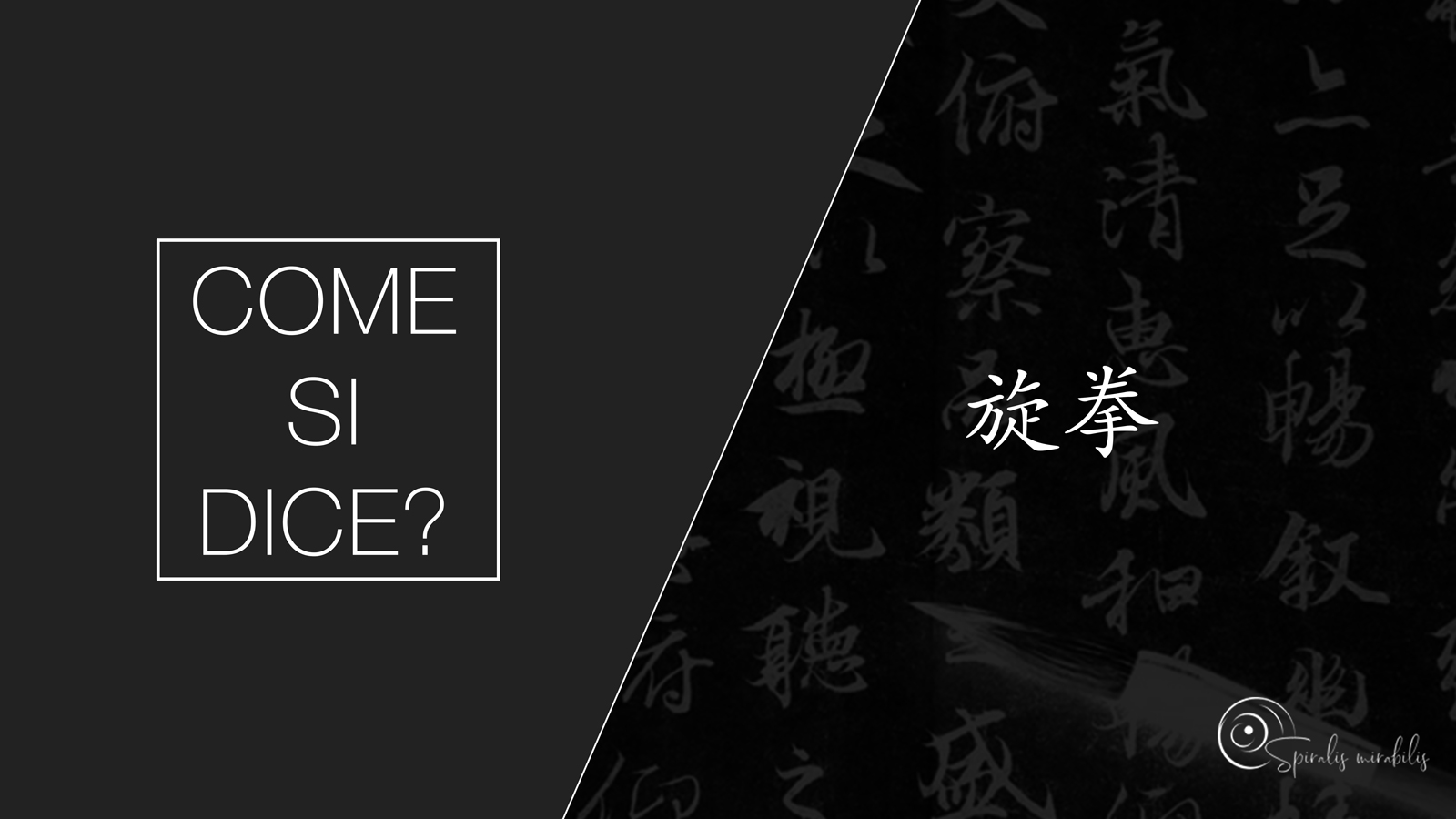 Spiralis Mirabilis - Rivista dedicata alle arti marziali cinesi e alla cultura tradizionale cinese con focus su Tai Chi QiGong e DaoYin